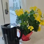 Roncella E La Sua Storia Centro Storico Appartement *
