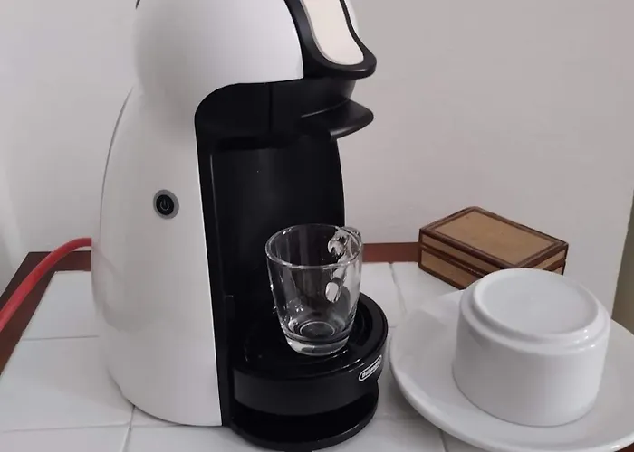 Roncella E La Sua Storia Centro Storico *