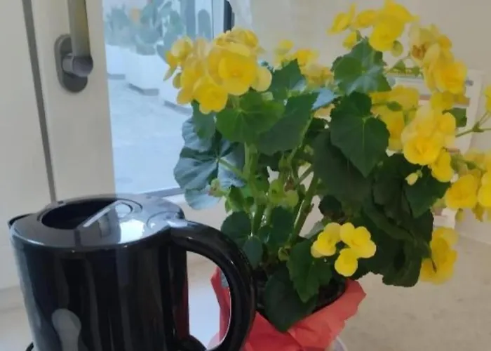 Roncella E La Sua Storia Centro Storico Appartement *